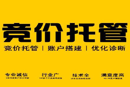 提升广告ROI：SEM竞价优化的实战案例
