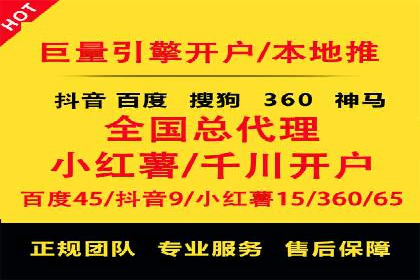 百度SEO推广策略案例：一家公司的成功转型之路